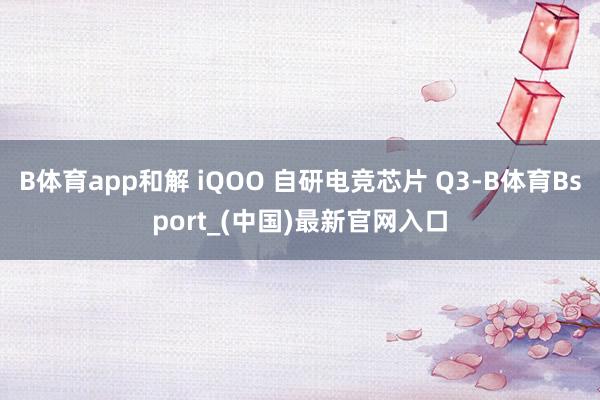 B体育app和解 iQOO 自研电竞芯片 Q3-B体育Bsport_(中国)最新官网入口